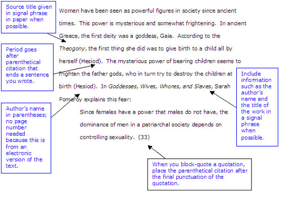 Example of essay with website citation
